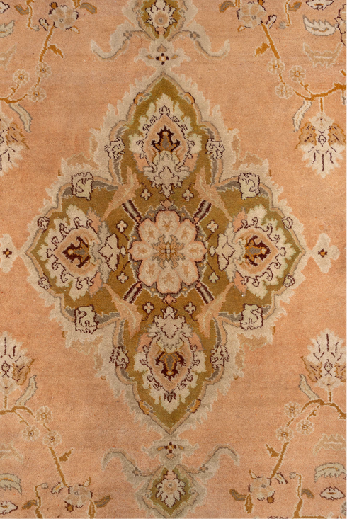Antique Agra Area Rug (5' x 10')